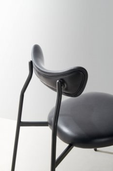 2012 Dragonfly Dining Chair IB (2)